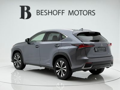 2021 Lexus NX 300h