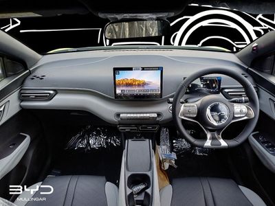 2026 BYD Dolphin Surf