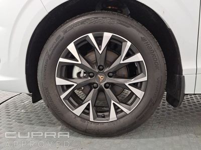 2026 Cupra Terramar
