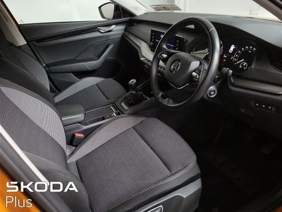 2023 Skoda Octavia