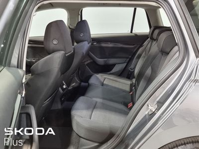 2024 Skoda Octavia