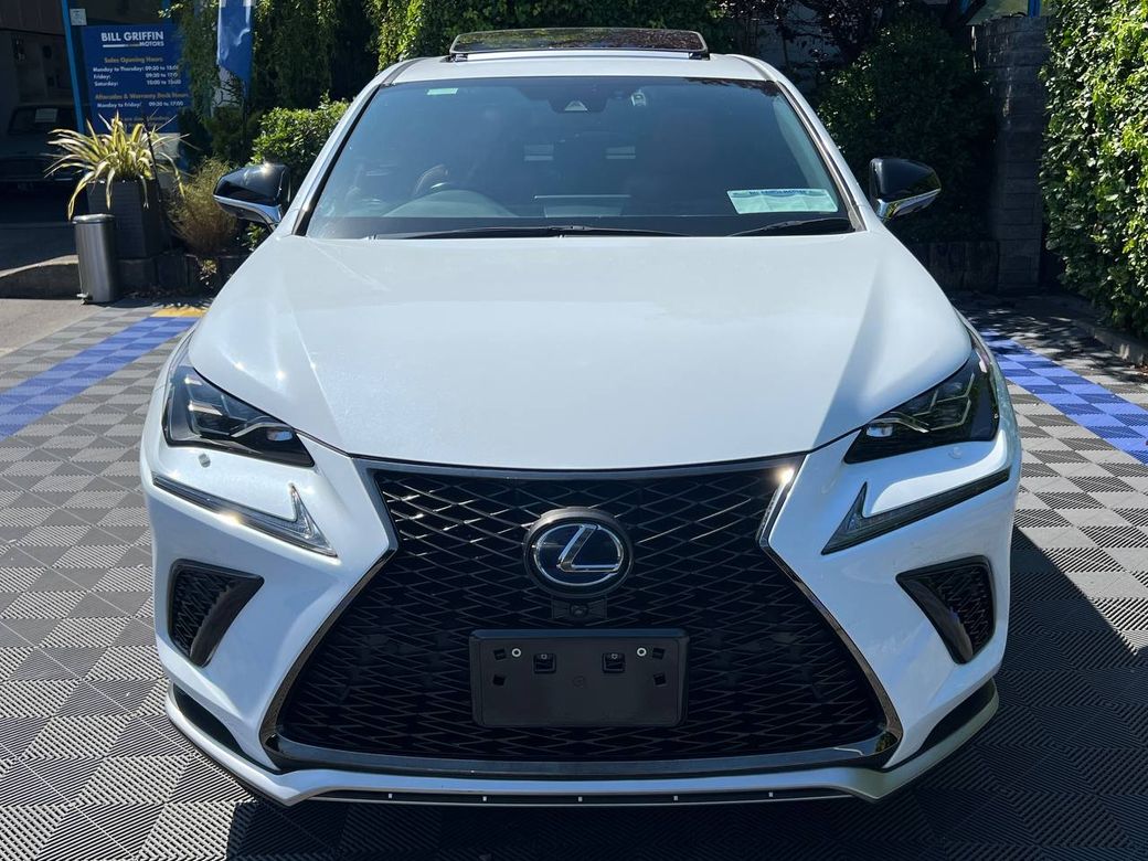 2019 Lexus NX 300h