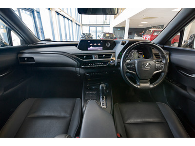 2021 Lexus UX 300e