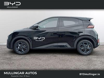 2026 BYD Dolphin Surf