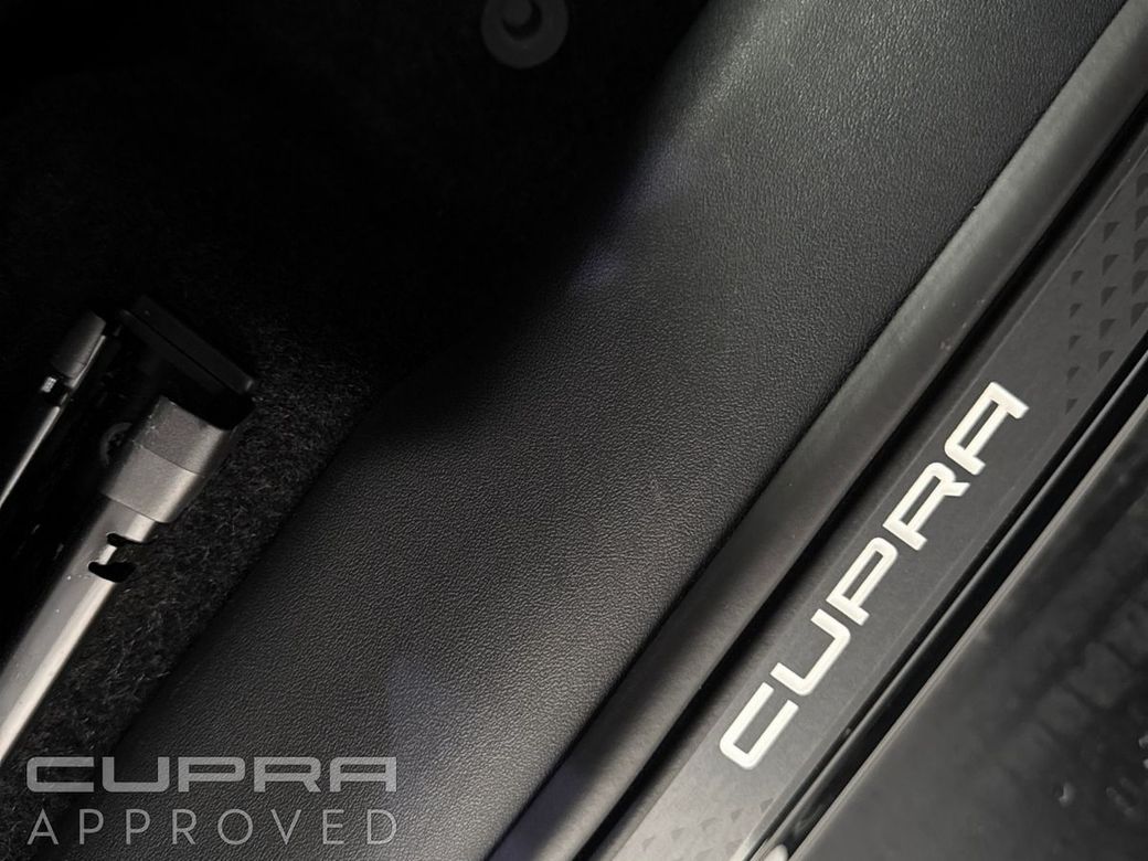 2026 Cupra Terramar