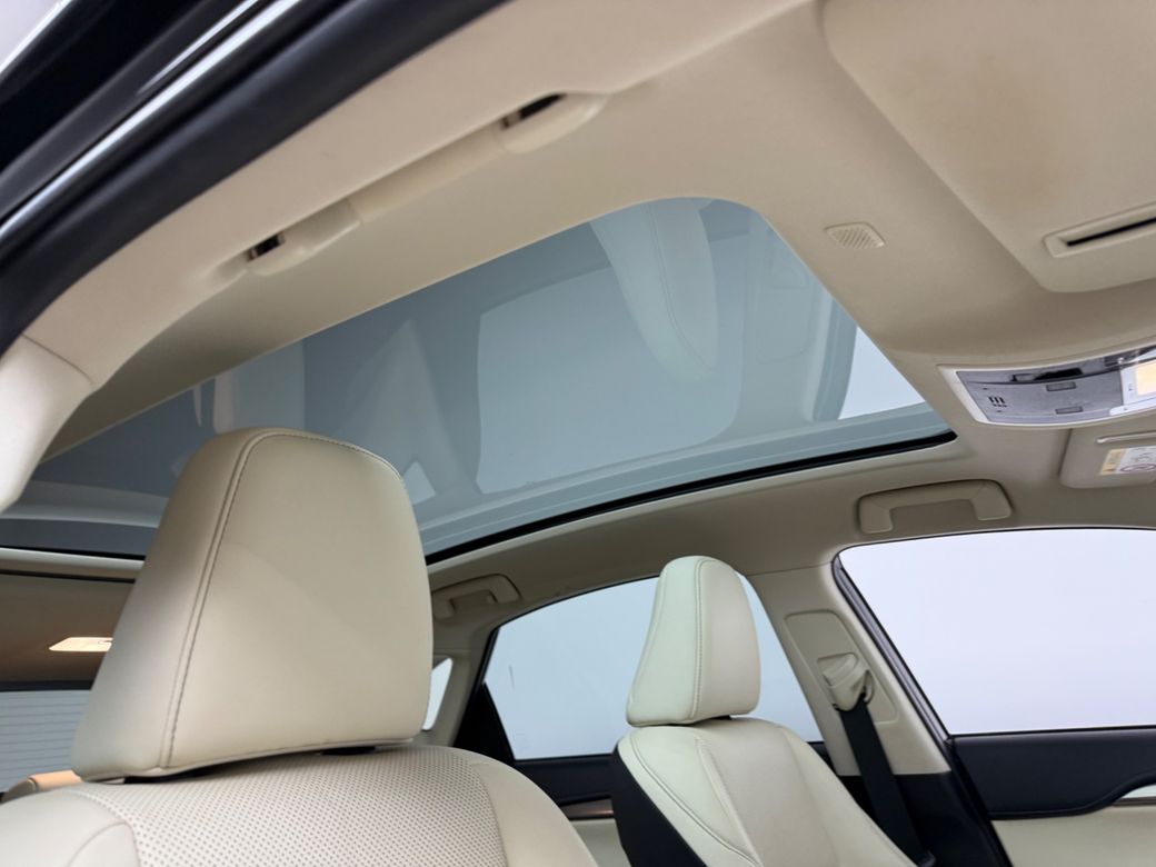 2021 Lexus NX