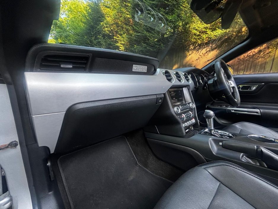 2019 Ford Mustang