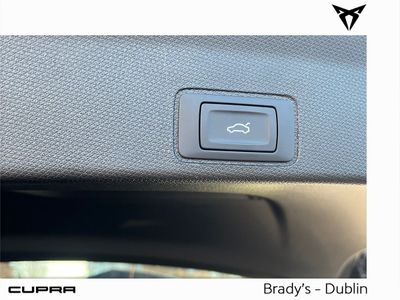 2026 Cupra Terramar