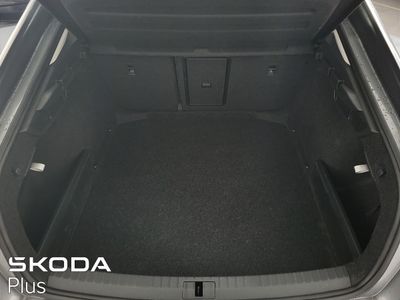 2023 Skoda Octavia
