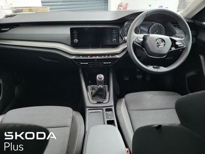 2023 Skoda Octavia