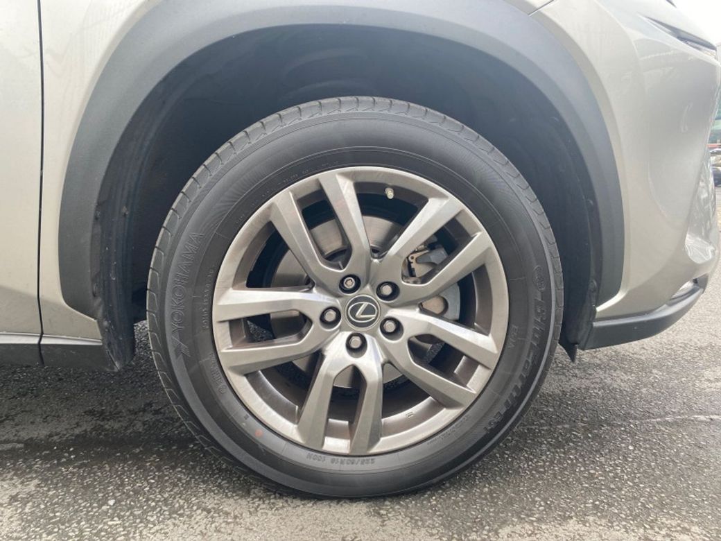 2019 Lexus NX