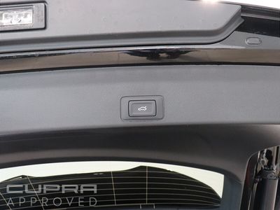 2025 Cupra Terramar