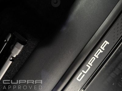 2026 Cupra Terramar