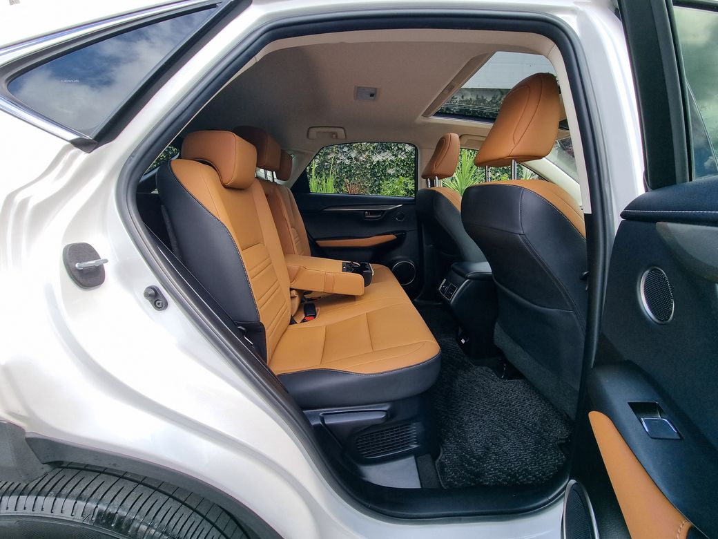 2020 Lexus NX