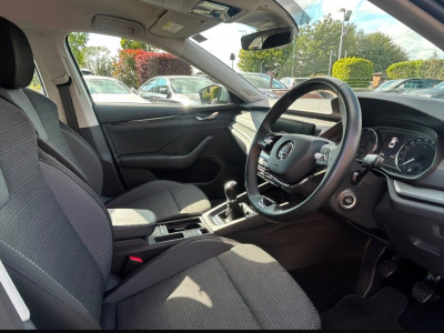 2023 Skoda Octavia