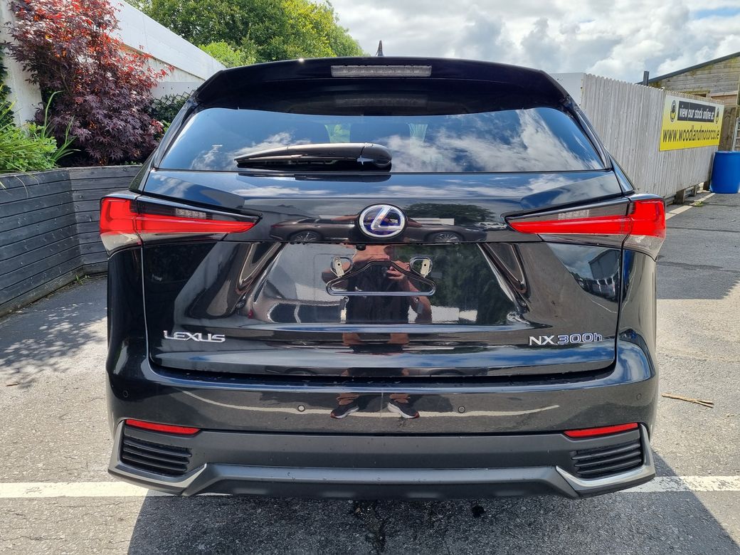 2020 Lexus NX