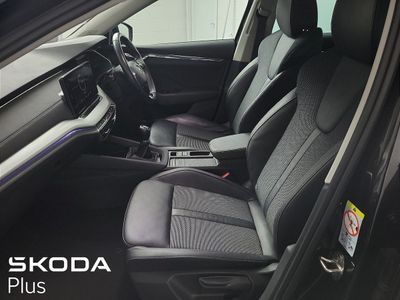 2023 Skoda Octavia