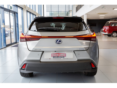 2021 Lexus UX 300e