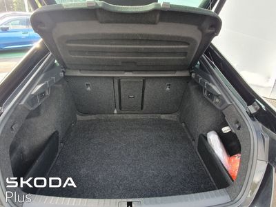 2023 Skoda Octavia
