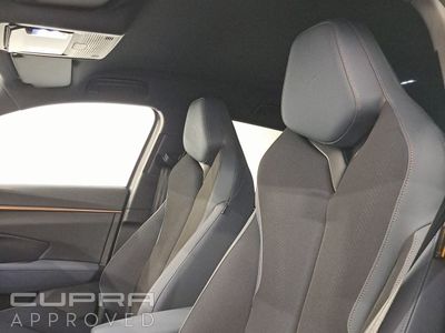 2026 Cupra Terramar