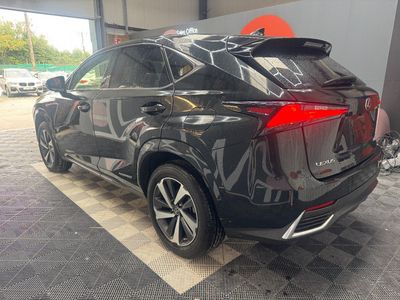 2021 Lexus NX 300h
