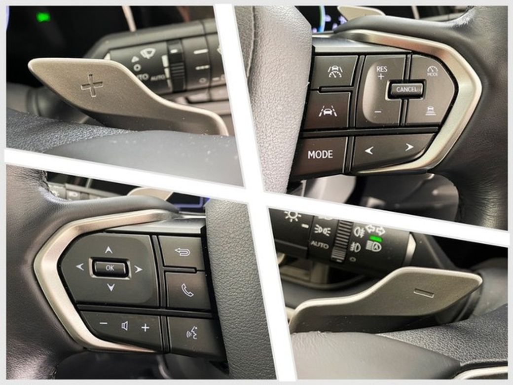 2024 Lexus RX450h+