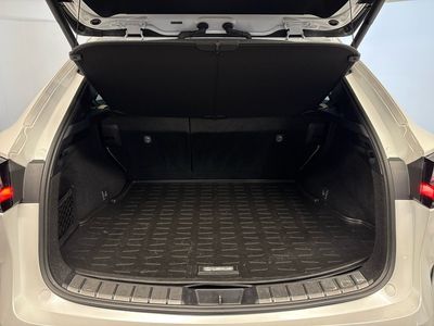 2024 Lexus NX 450H+