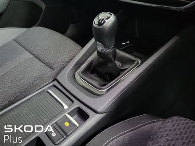 2023 Skoda Octavia
