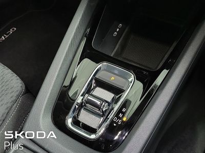 2023 Skoda Octavia