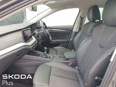 2023 Skoda Octavia