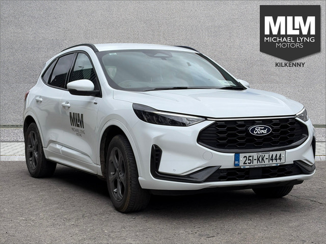 vehicle for sale from Michael Lyng Motors