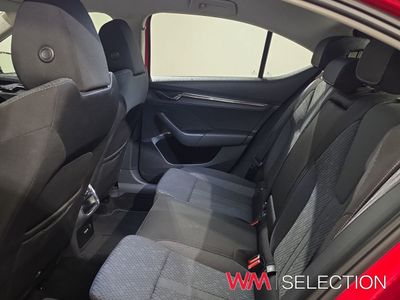 2023 Skoda Octavia