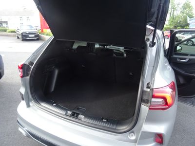2024 Ford Kuga