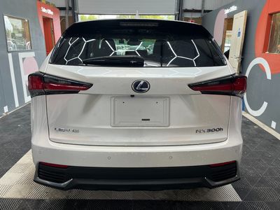 2021 Lexus NX 300h