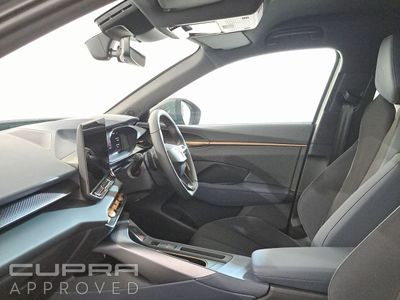 2026 Cupra Terramar