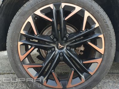 2025 Cupra Terramar