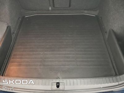 2023 Skoda Octavia