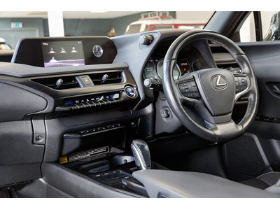 2021 Lexus UX 300e