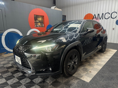 2020 Lexus UX 250H