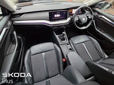 2023 Skoda Octavia