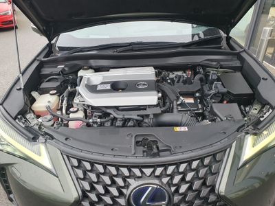 2019 Lexus UX 250H