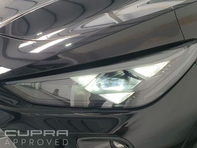 2025 Cupra Terramar