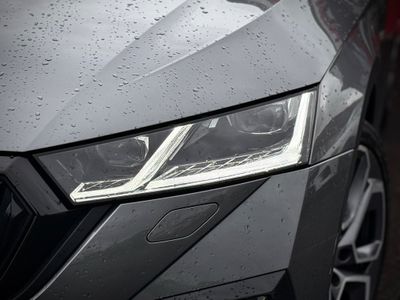 2023 Skoda Octavia