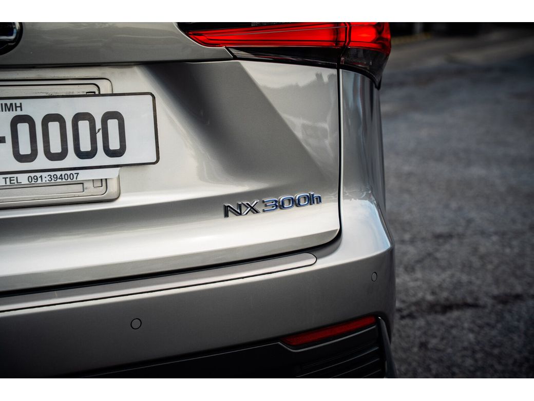 2020 Lexus NX