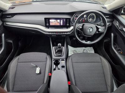 2023 Skoda Octavia