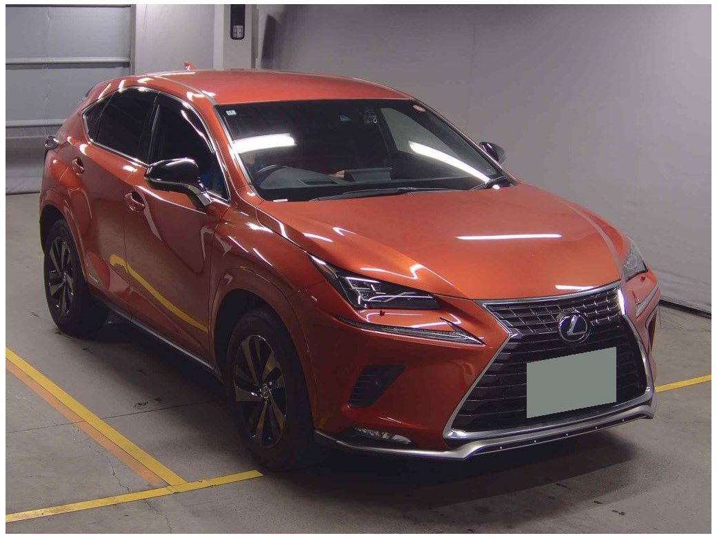 2020 Lexus NX