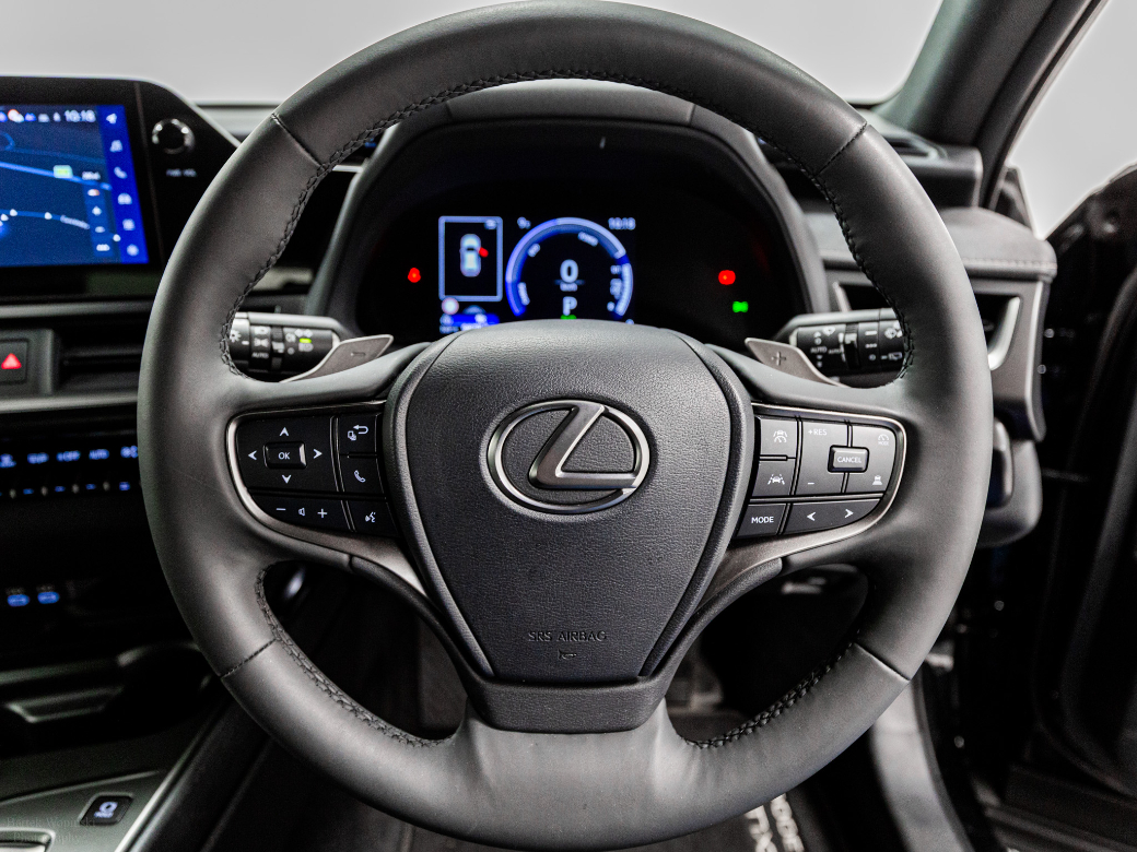 2025 Lexus UX 300e
