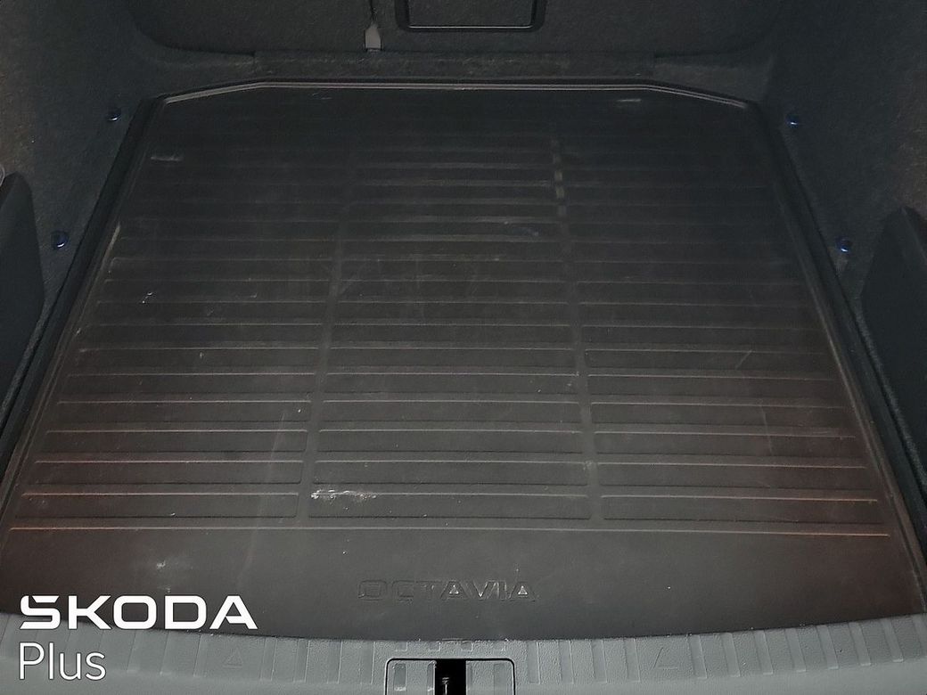2023 Skoda Octavia