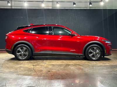 2021 Ford Mustang Mach-e