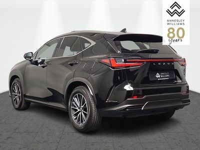 2025 Lexus NX